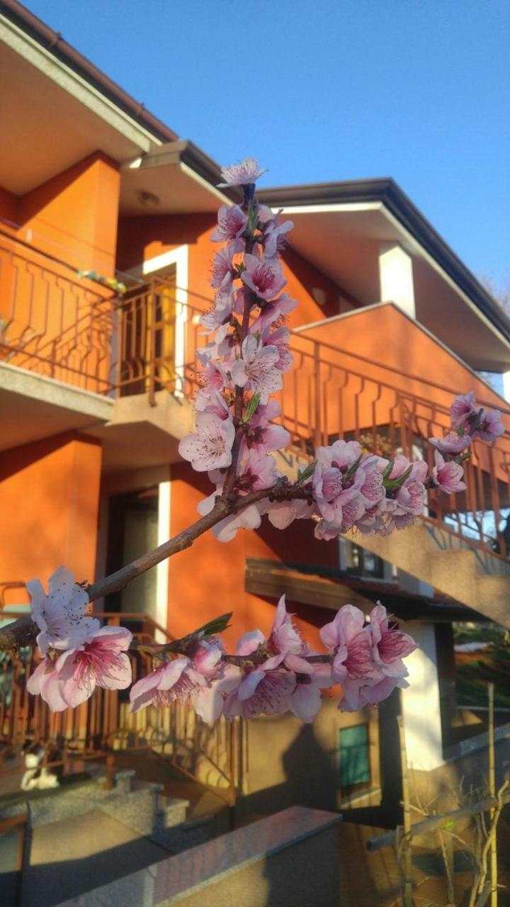 Apartment Zita With 1 Bedroom In Relaxing Surroundings Near Umag Kültér fotó
