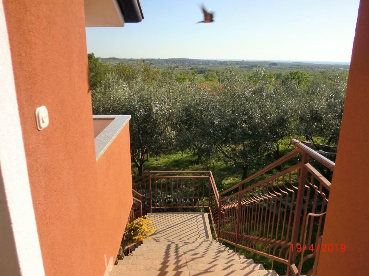 Apartment Zita With 1 Bedroom In Relaxing Surroundings Near Umag Kültér fotó
